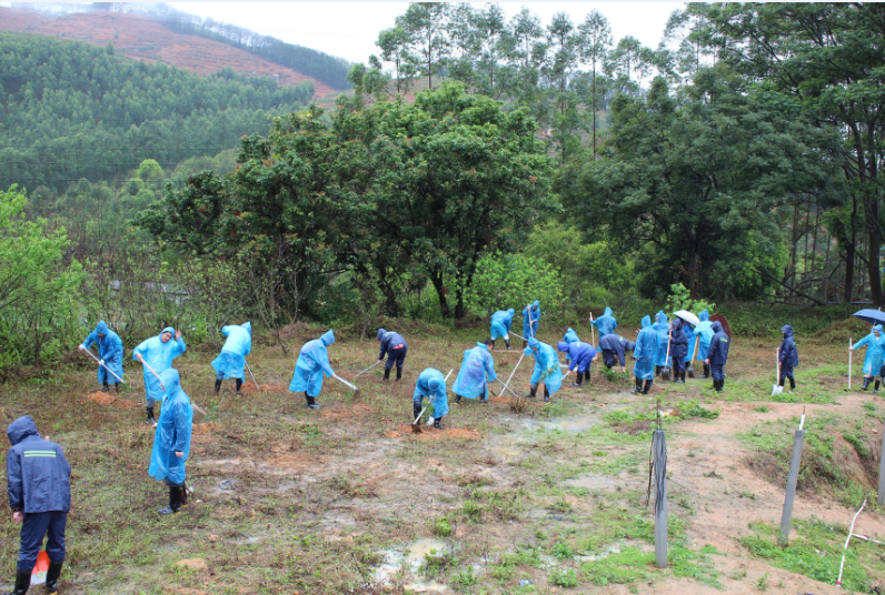 集團(tuán)組織開(kāi)展“我與小樹(shù)同成長(zhǎng)”植樹(shù)節(jié)活動(dòng)-